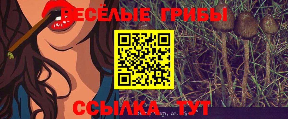 Галлюциногенные грибы MAGIC MUSHROOMS  сколько стоит  Тверь  Вход с VPN 